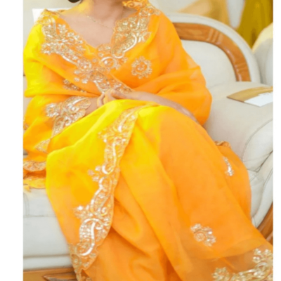 Picture of Indian Jeorjet High Quality Embroidery Stylish Sharee ( SS-172)