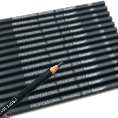 Picture of Professional Graphite and Charcoal Sketching Drawing Pencil Set - 14 Pcs