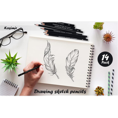 Picture of Professional Graphite and Charcoal Sketching Drawing Pencil Set - 14 Pcs