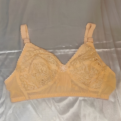 Picture of Export Quality Net Bra for Women Body Fitting Stylish And Comfortable Net Bra for Beautiful Women And Girls