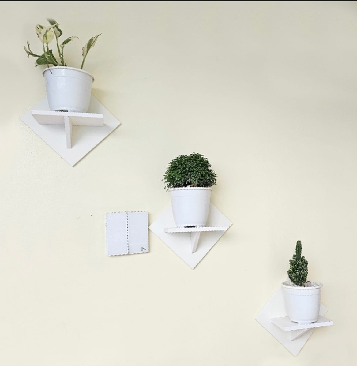 Picture of 1/3/5/10 Pcs Wall Hanging Kite Flower Stand . Self Adhesive Punch Free Wall Decorative Showpiece Holder Only . Only square Shape Stand
