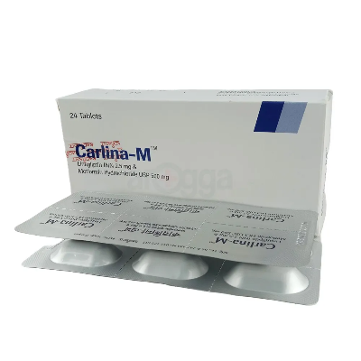 Picture of Carlina-M 2.5/500