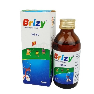 Picture of Brizy