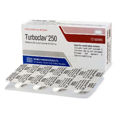 Picture of Turboclav 250