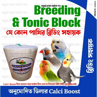 Picture of BUY 10 GET 1 FREE Big Size Breeding & Tonic Block (Birds Breeding block) 1pc Pack