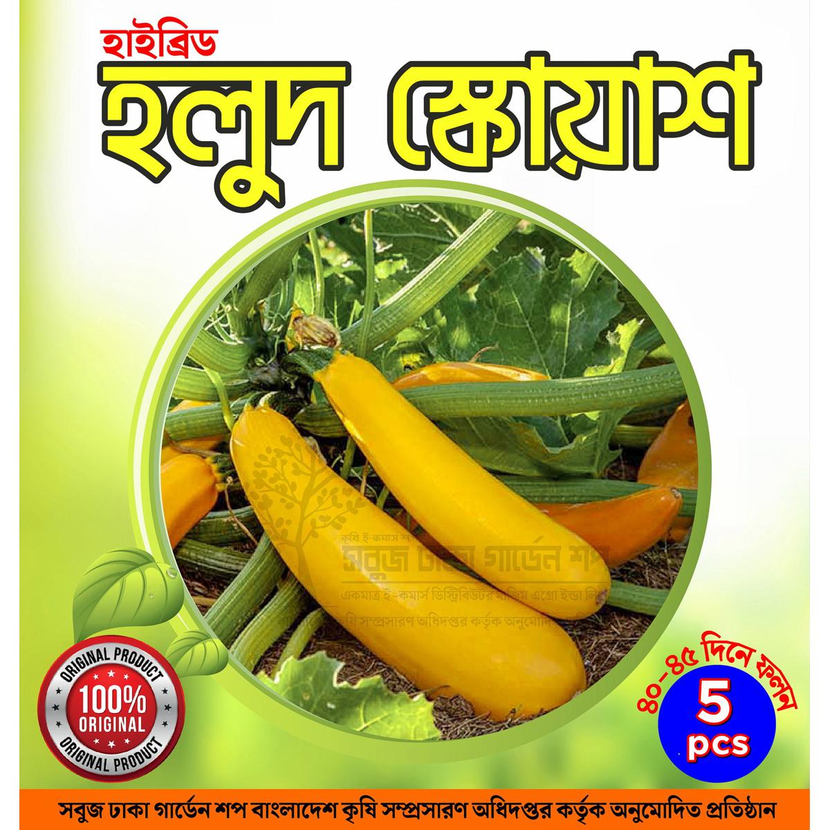 Picture of Hybrid Yellow Squash Seeds 5pcs Re-Pack (Korean)