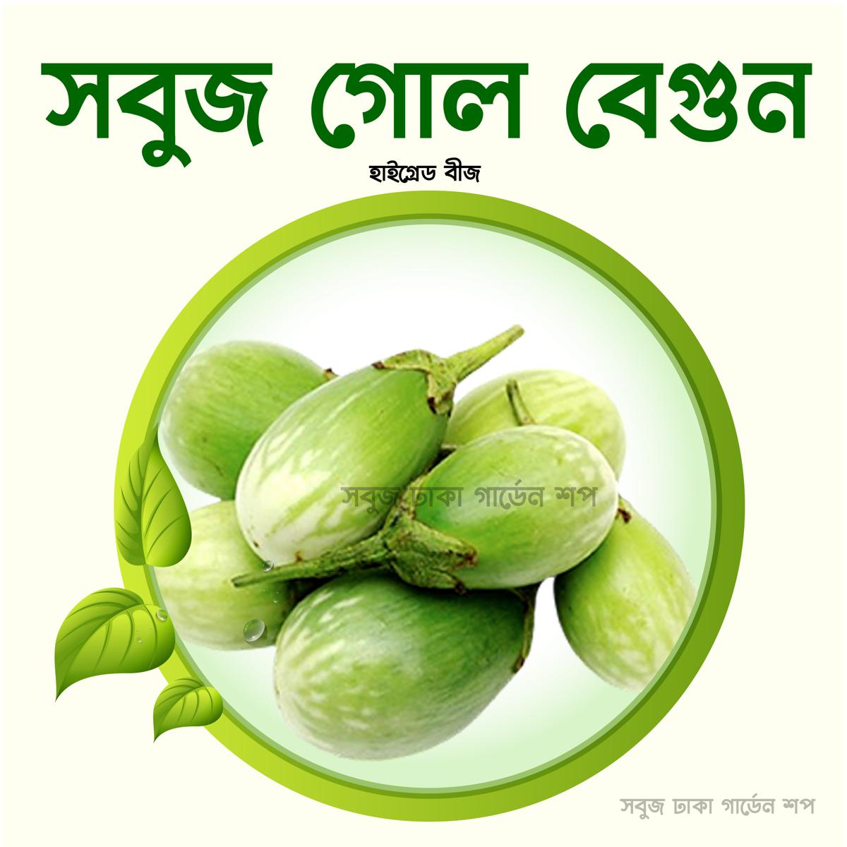 Picture of Round Green Brinjal Seeds 0.1gm Intact Pack