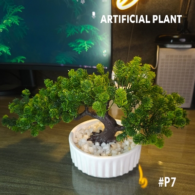 Picture of Artificial Decoration Bonsai Plant with Concrete Pot