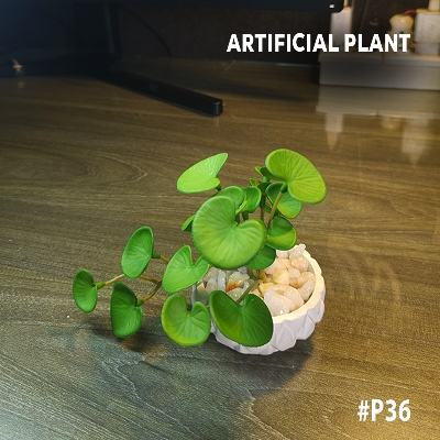 Picture of Artificial Coin Plant with Concrete Pot 