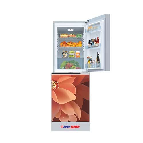 Picture of MYONE MY-2E6G 256 Liter Dahlia Black Bottom Mount Refrigerator (MATCH-256)