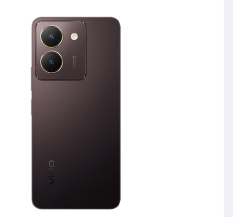 Picture of Original Vivo Y27s Backshell
