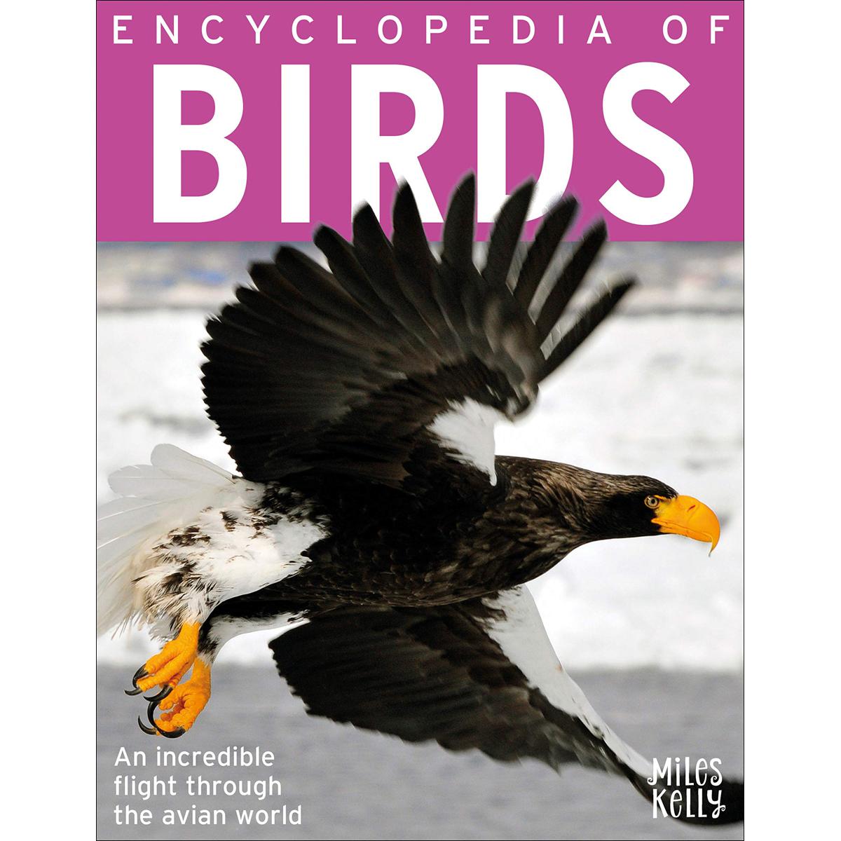 Picture of Encyclopedia of Birds