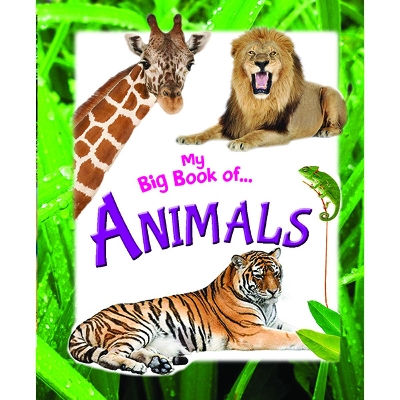 Picture of My Big Book of Animals (Paperback)