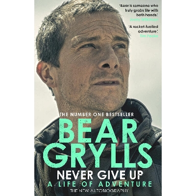 Picture of Never Give Up - Paperback