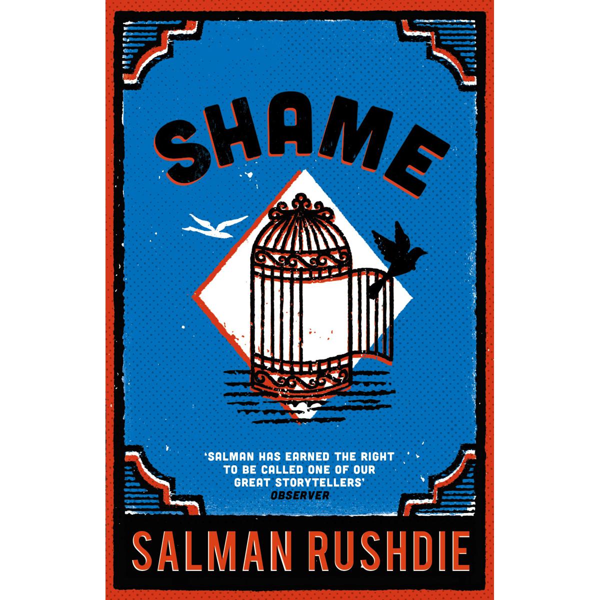 Picture of Shame Paperback