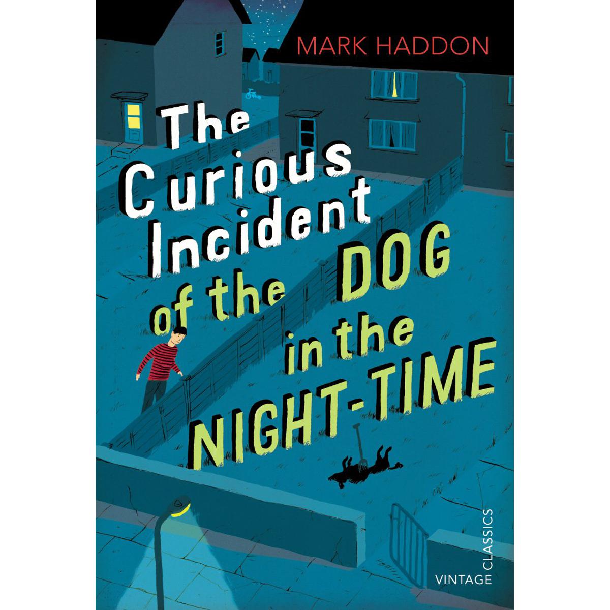 Picture of The Curious Incident of the Dog in the Night-time