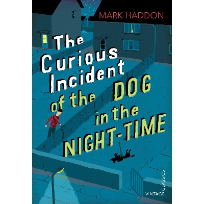 Picture of The Curious Incident of the Dog in the Night-time