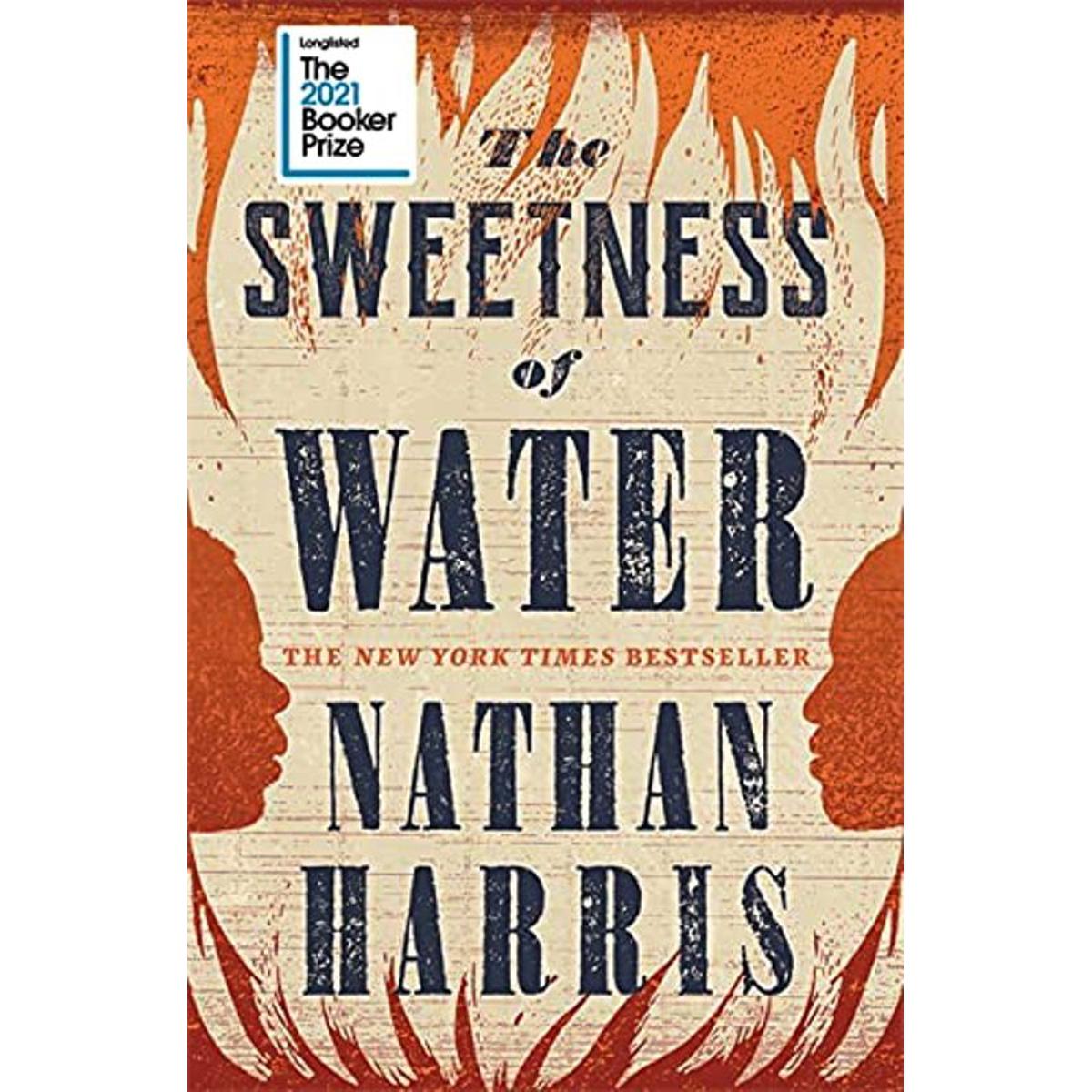 Picture of The Sweetness of Water Paperback