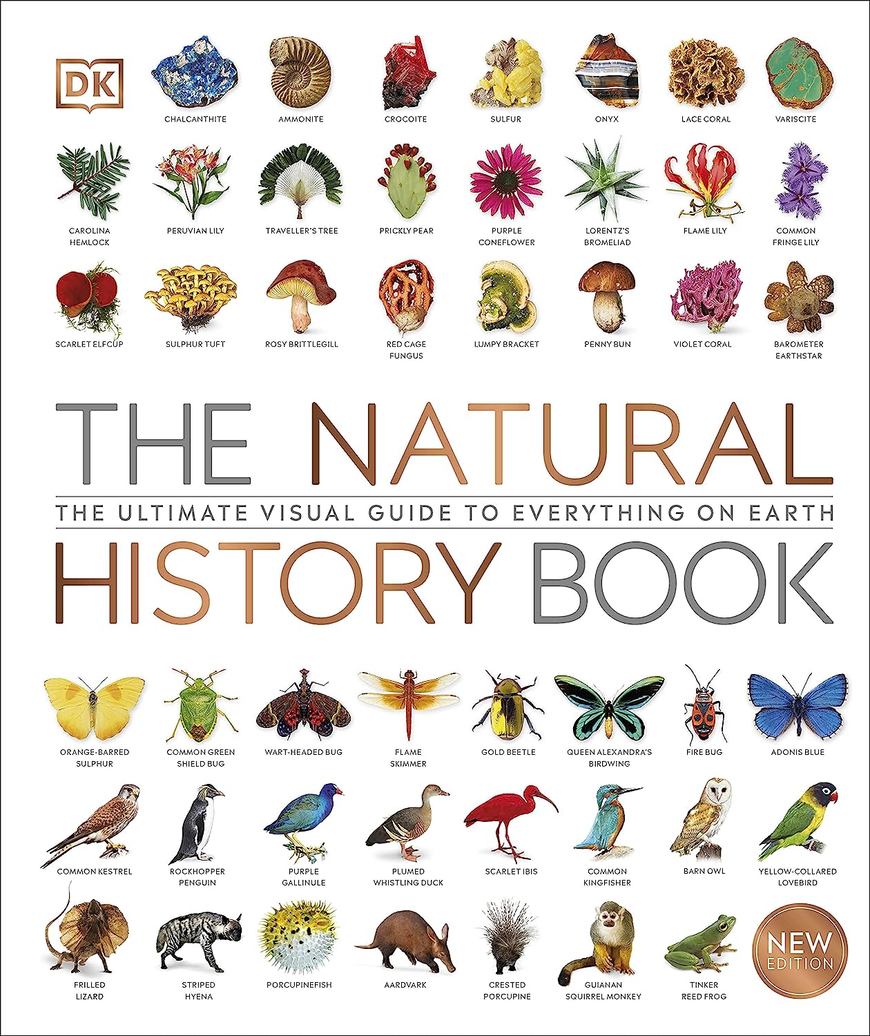 Picture of The Natural History Book (Hardcover)