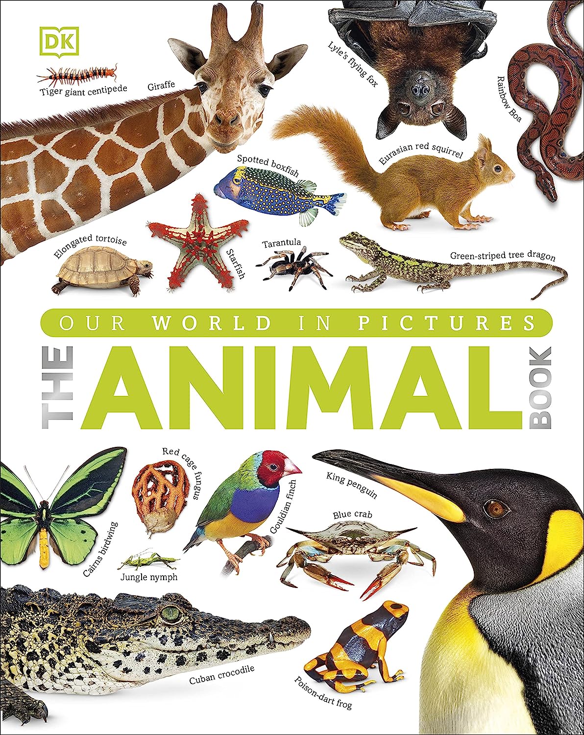 Picture of THE ANIMAL BOOK (Hardcover) Imported Book