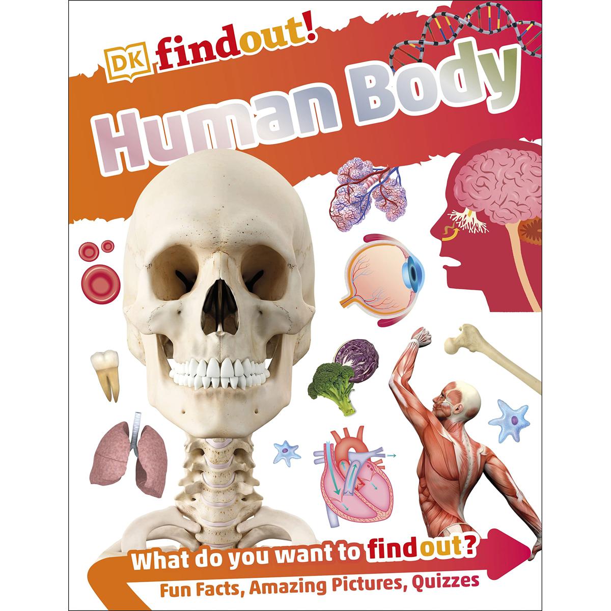 Picture of Human Body (Flexibound) Imported Book