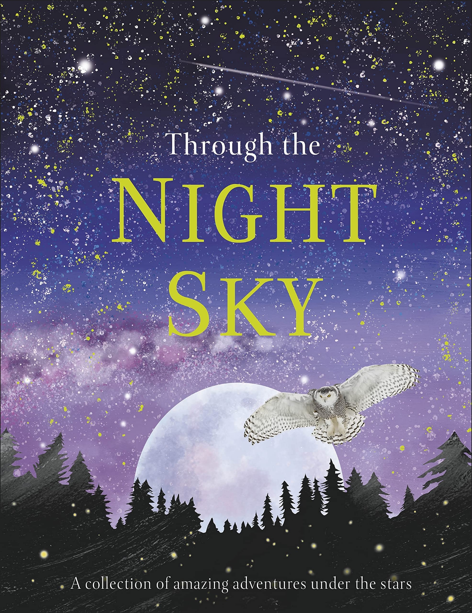 Picture of Through the Night Sky (Hardcover)