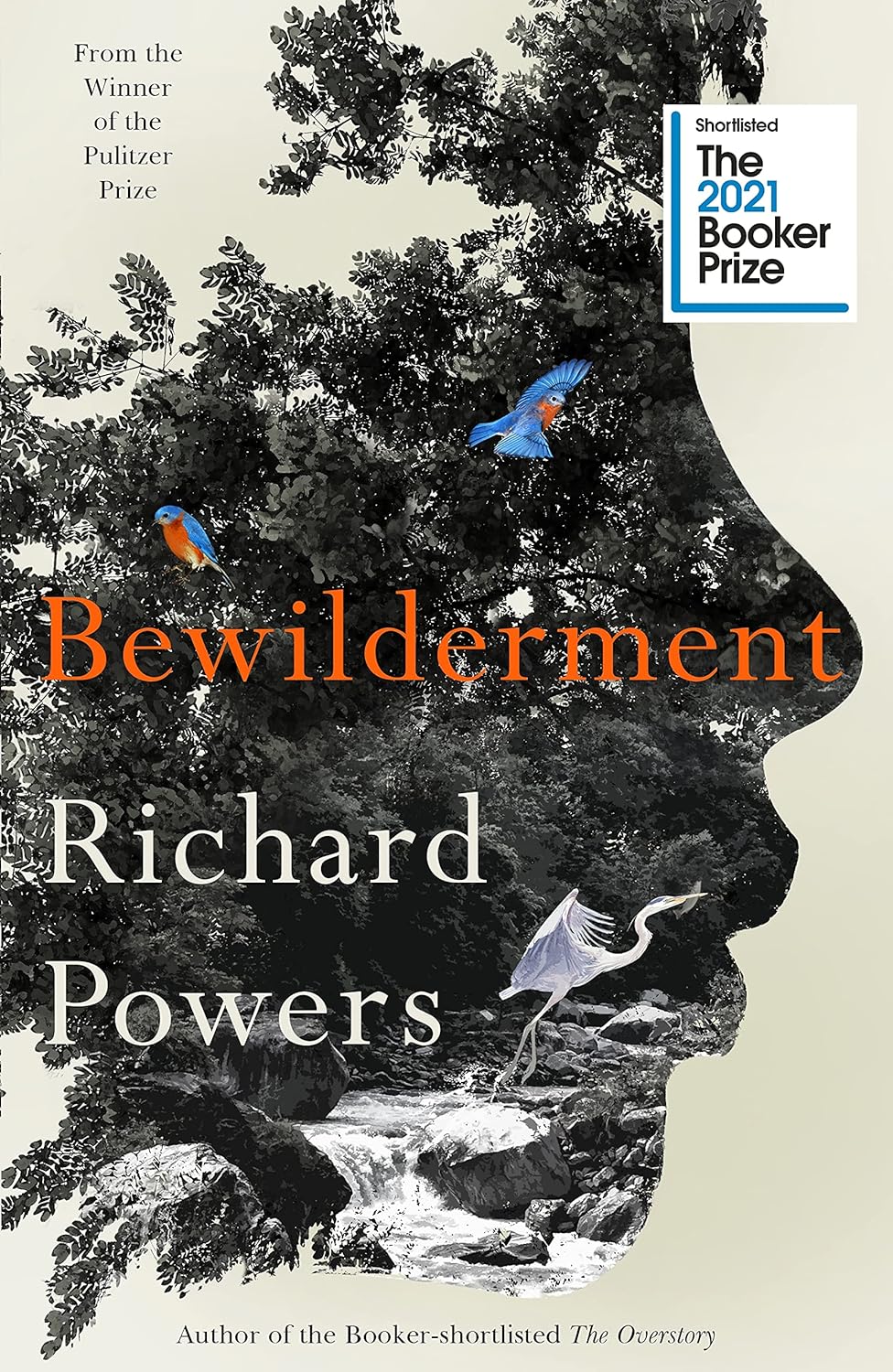 Picture of Bewilderment (Paperback) import bookl