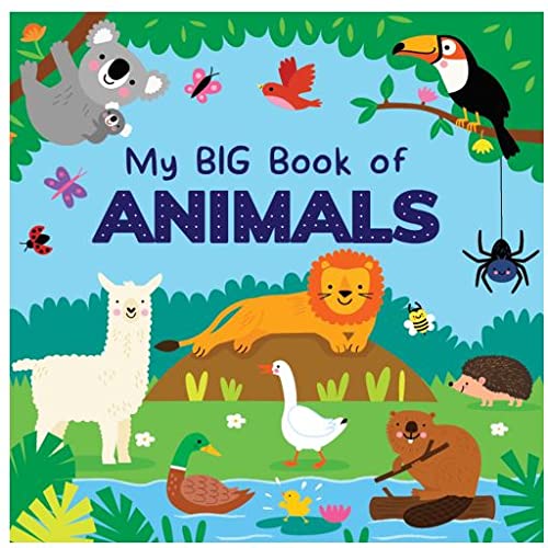 Picture of My Big Book of Animals Board book (hardcover)