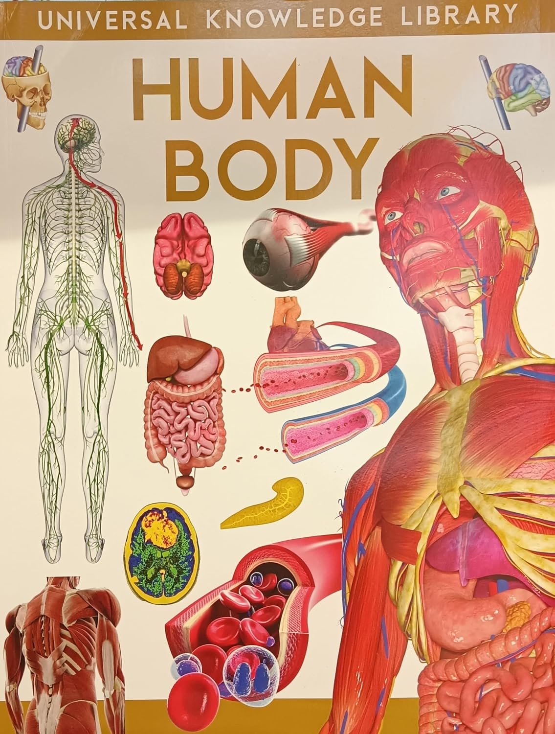 Picture of Human Body Book, 8 x 11 inches, United States Library of Medicine -(Paperback )