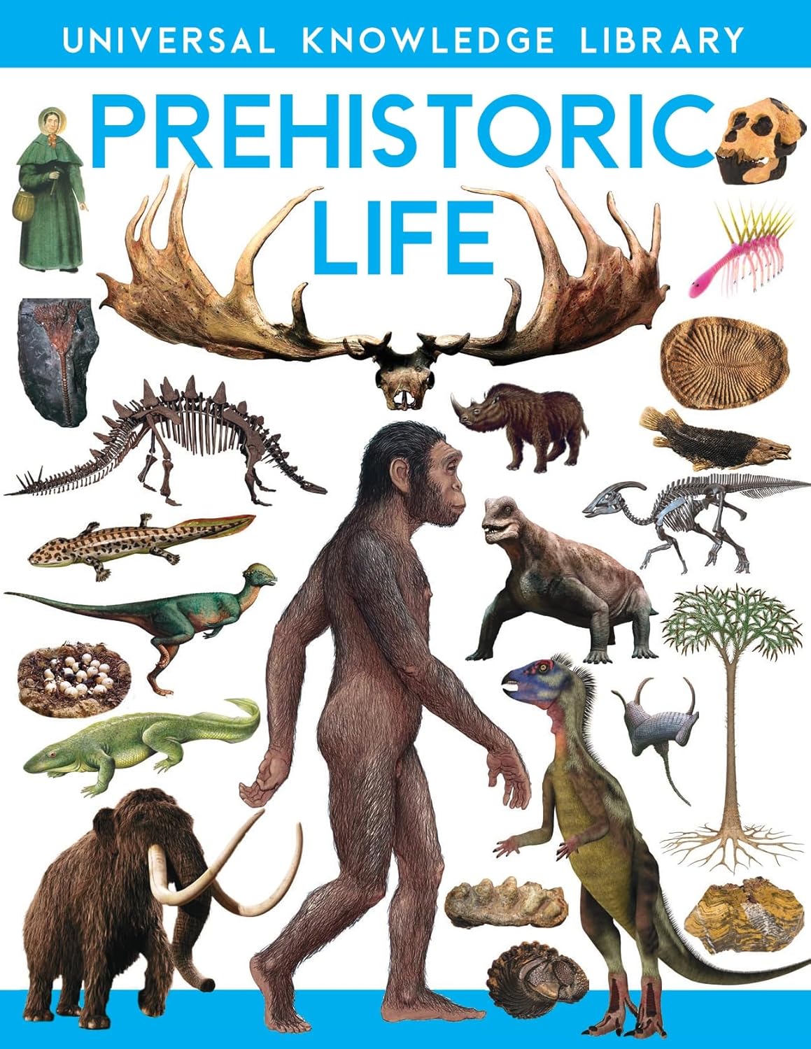 Picture of Universal Knowledge Library Prehistoric Life (English) -(Paperback)