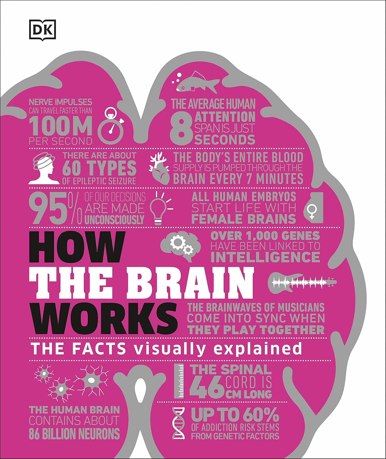 Picture of How the Brain Works (Hardcover)
