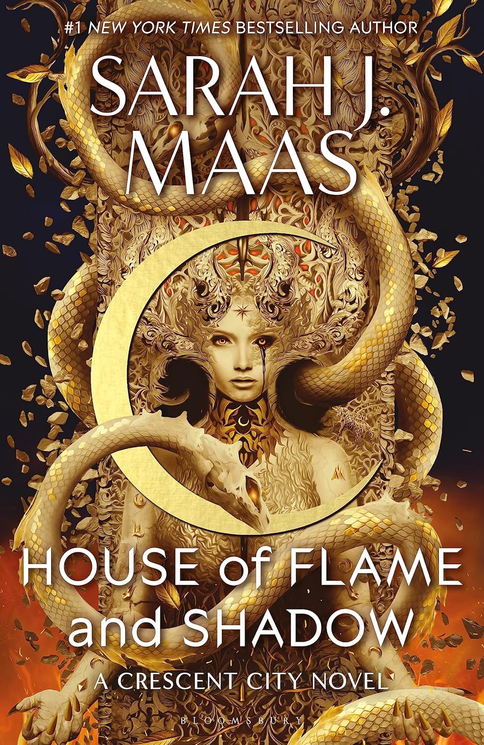 Picture of House of Flame and Shadow -(Paperback)