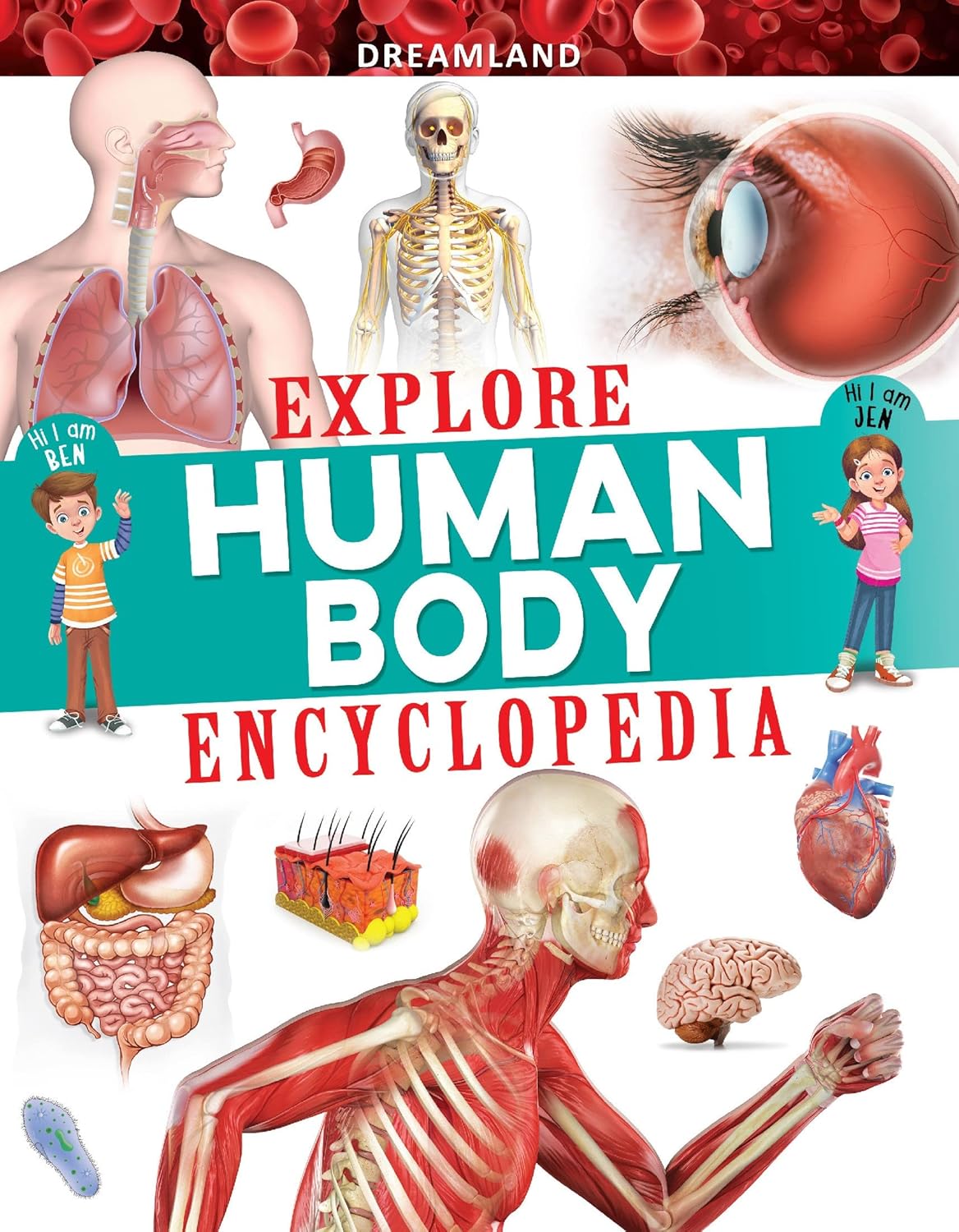 Picture of Explore Human Body Encyclopedia -(Paperback)
