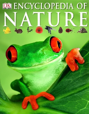 Picture of Encyclopedia of Nature Paperback