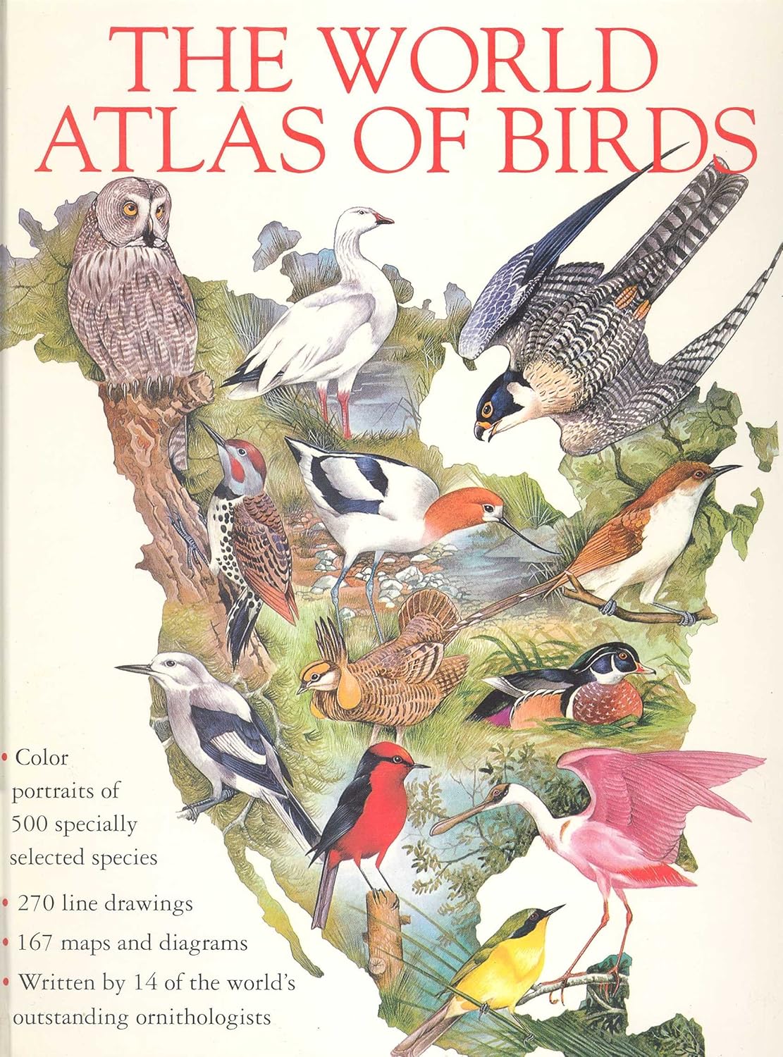 Picture of The World Atlas of Birds Hardcover