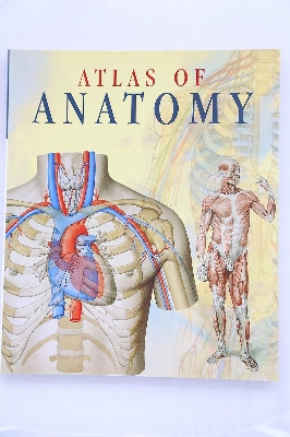 Picture of Atlas Of Anatomy Paperback