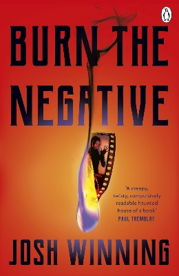 Picture of Burn The Negative (Paperback)
