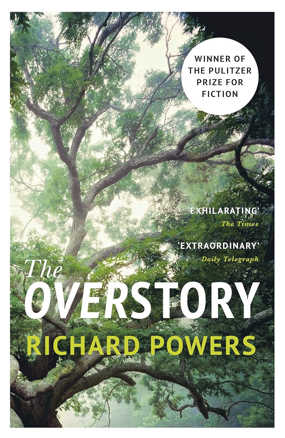 Picture of The Overstory (Paperback)