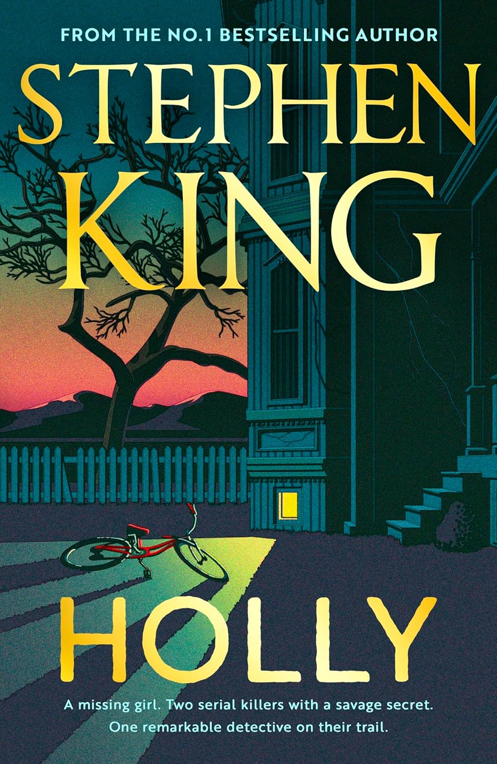 Picture of Holly [Hardcover]