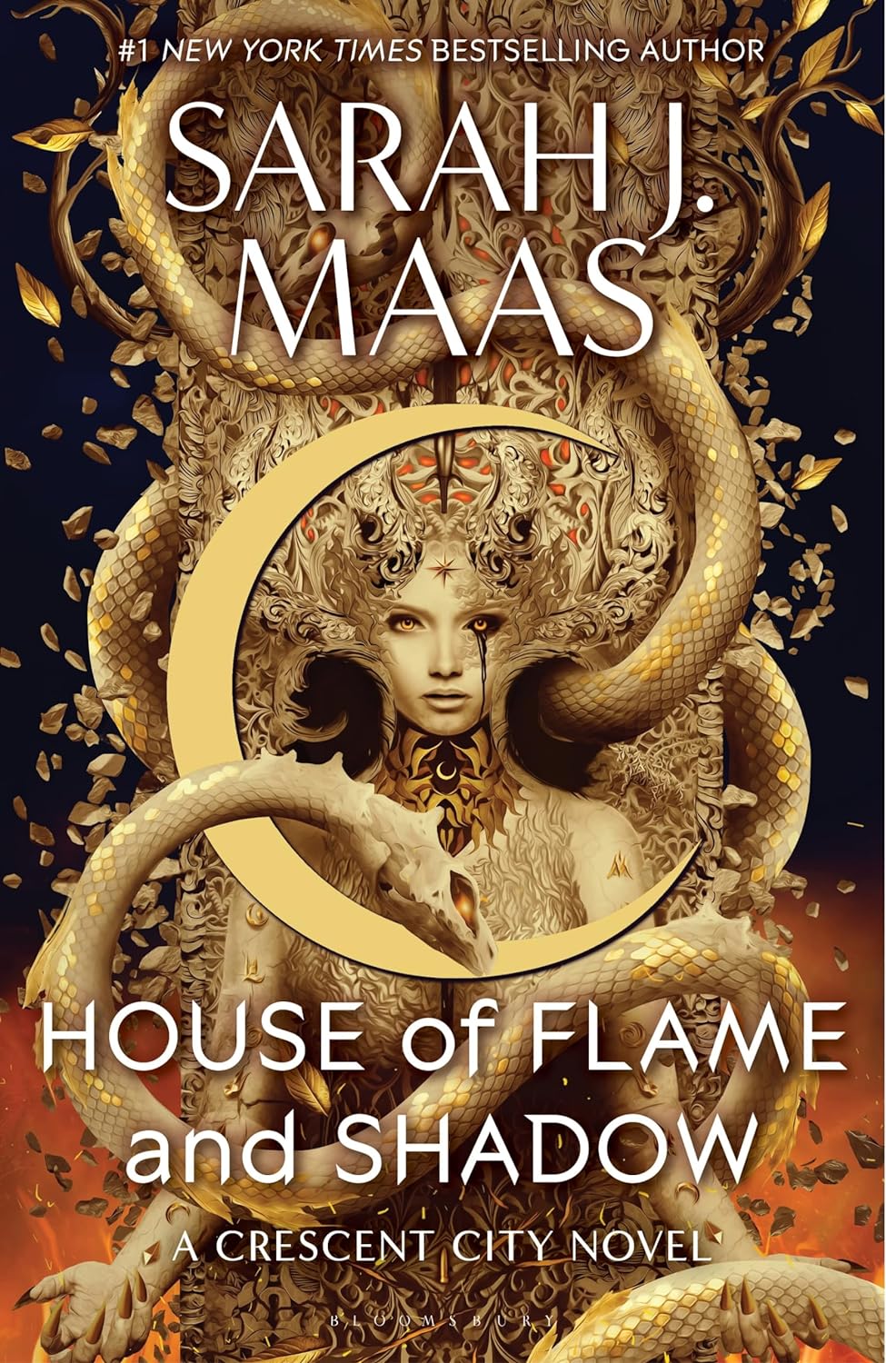 Picture of House of Flame and Shadow [Paperback]