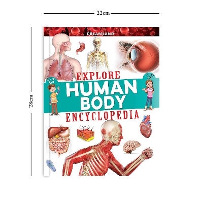 Picture of Explore Human Body Encyclopedia (Paperback)