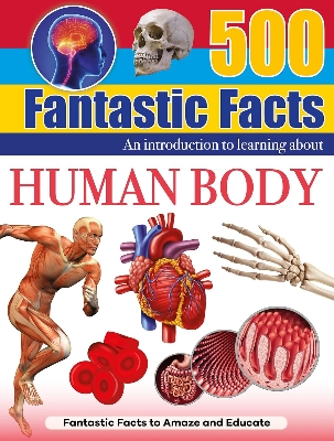 Picture of Human Body (500 Fantastic Facts) Hardcover
