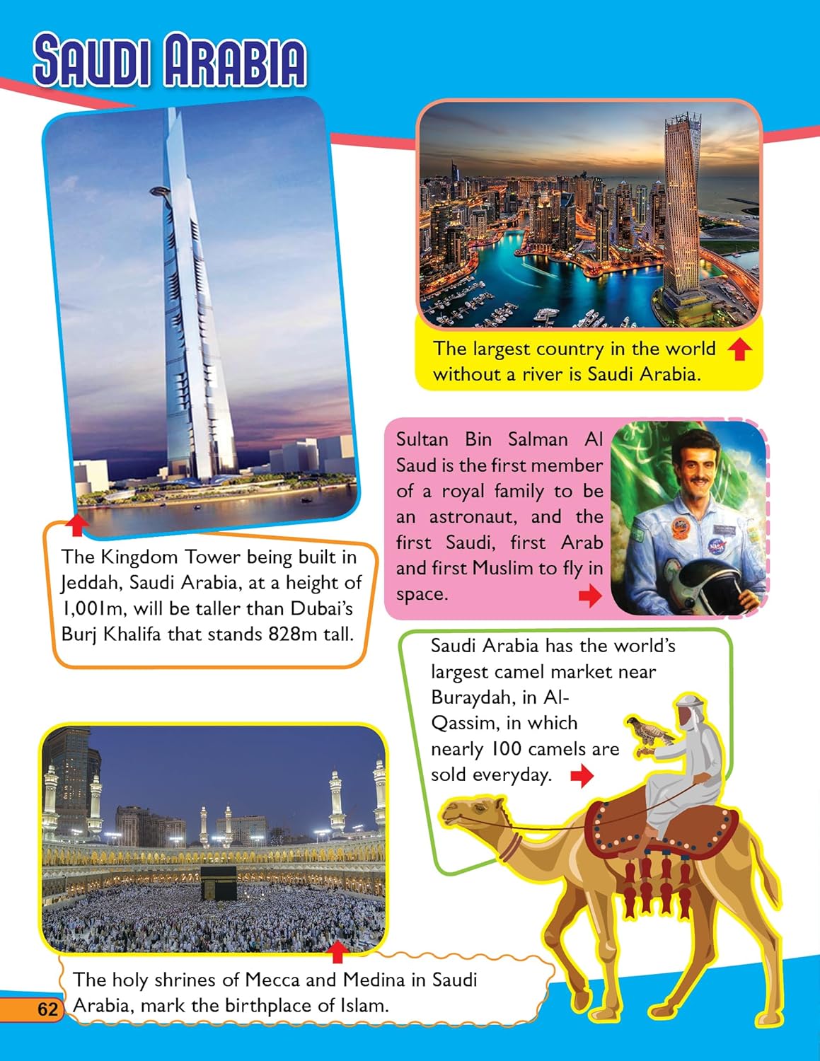 Picture of 365 Facts on Around the World