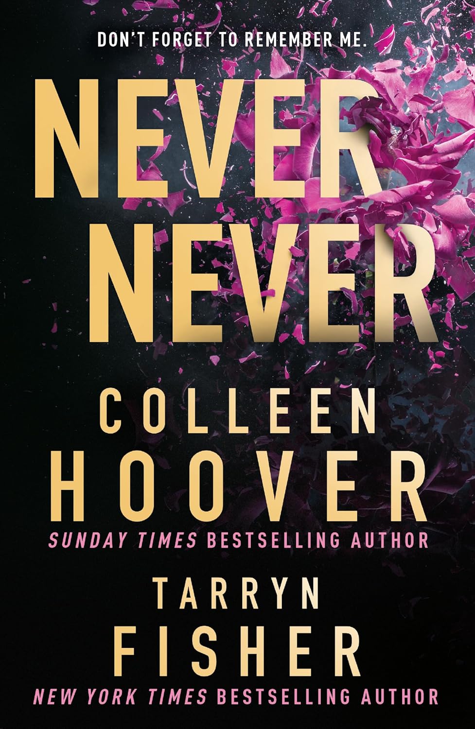 Picture of Never Never (paperback) Imported
