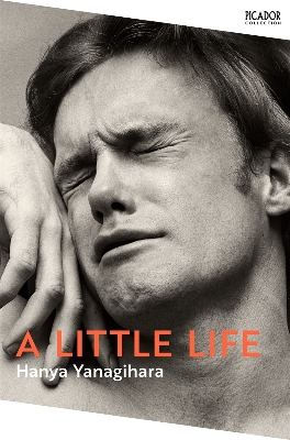 Picture of A Little Life  The Million-Copy Bestseller(Paperback)