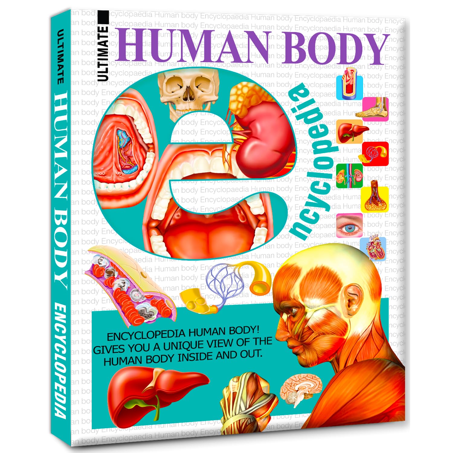 Picture of The Ultimate Encyclopedia of Human Body (Hardcover)