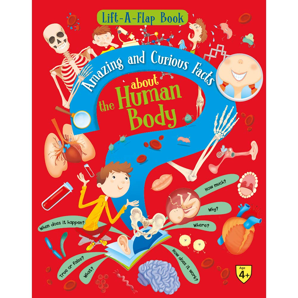 Picture of Lift A Flap Book Amazing & Curious Facts about the Human Body (Hardcover)