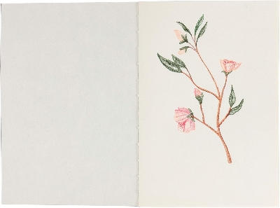 Picture of Papertree Brown cover Vintage Cartdige Paper Notebook Sketch pad | A5 Size ● 120 gsm paper ● Off white paper Fountain Pen Friendly ,Sketch,Drawing,Pen,Chrcoal, Pastel, Fine liner Drawing