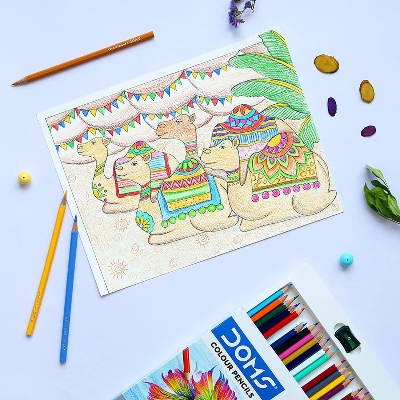 Picture of DOMS Colour Pencil 24 Shades Large Size |  High quality natural pigments