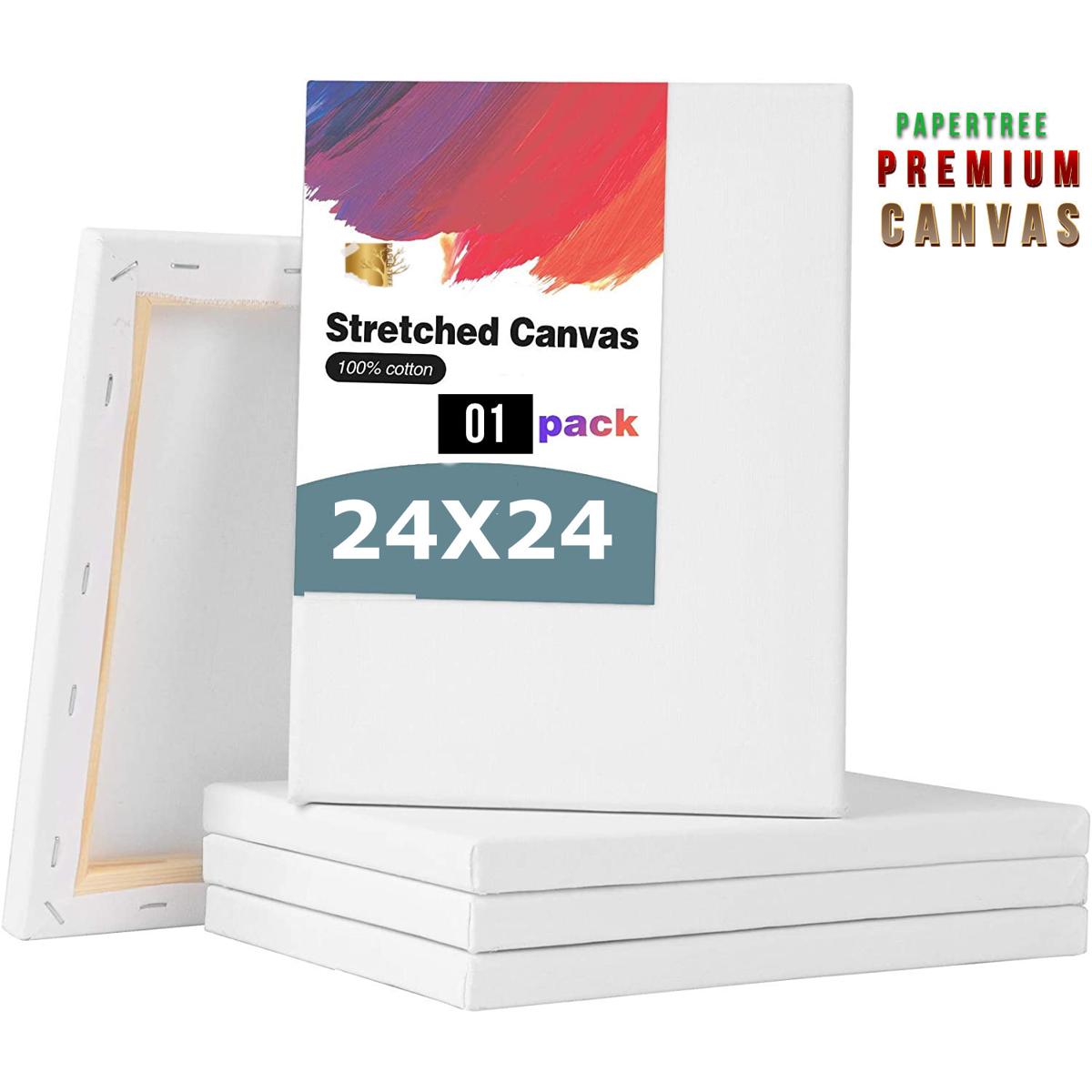 Picture of Papertree White Premium Canvas 24/24 inch